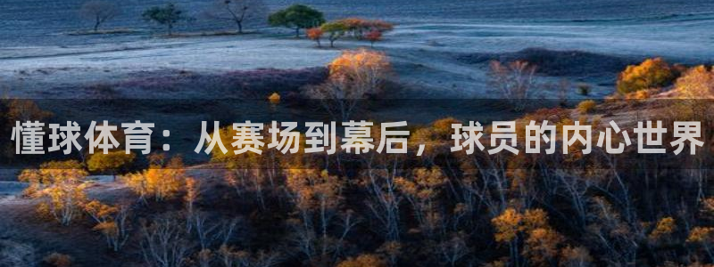 懂球体育：从赛场到幕后，球员的内心世界