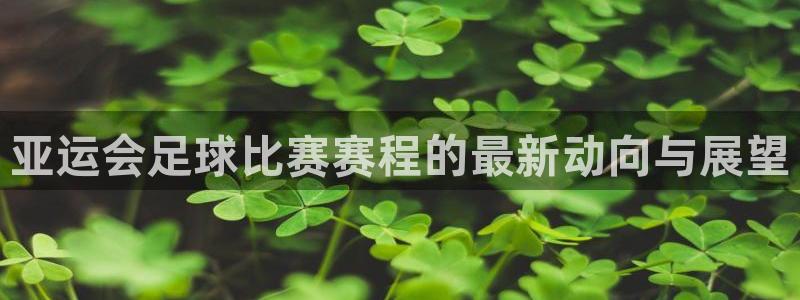 乐球体育直播：亚运会足球比赛赛程的最新动