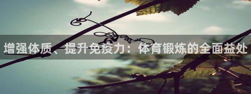 乐球nba直播无插件高清：增强体质、提升